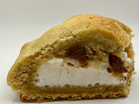 Campfire S’mores